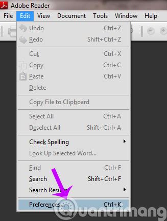 adobe reader that allows editing.